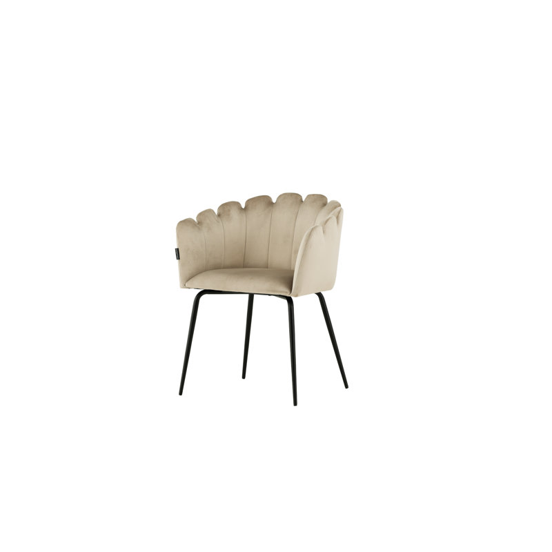 Bryton Velvet Side Chair