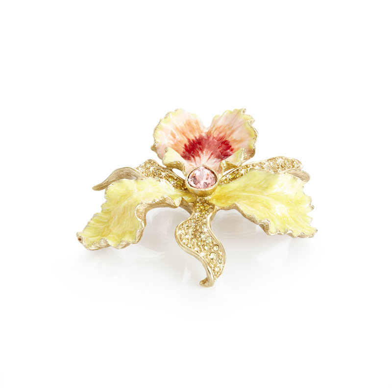 Orchidée