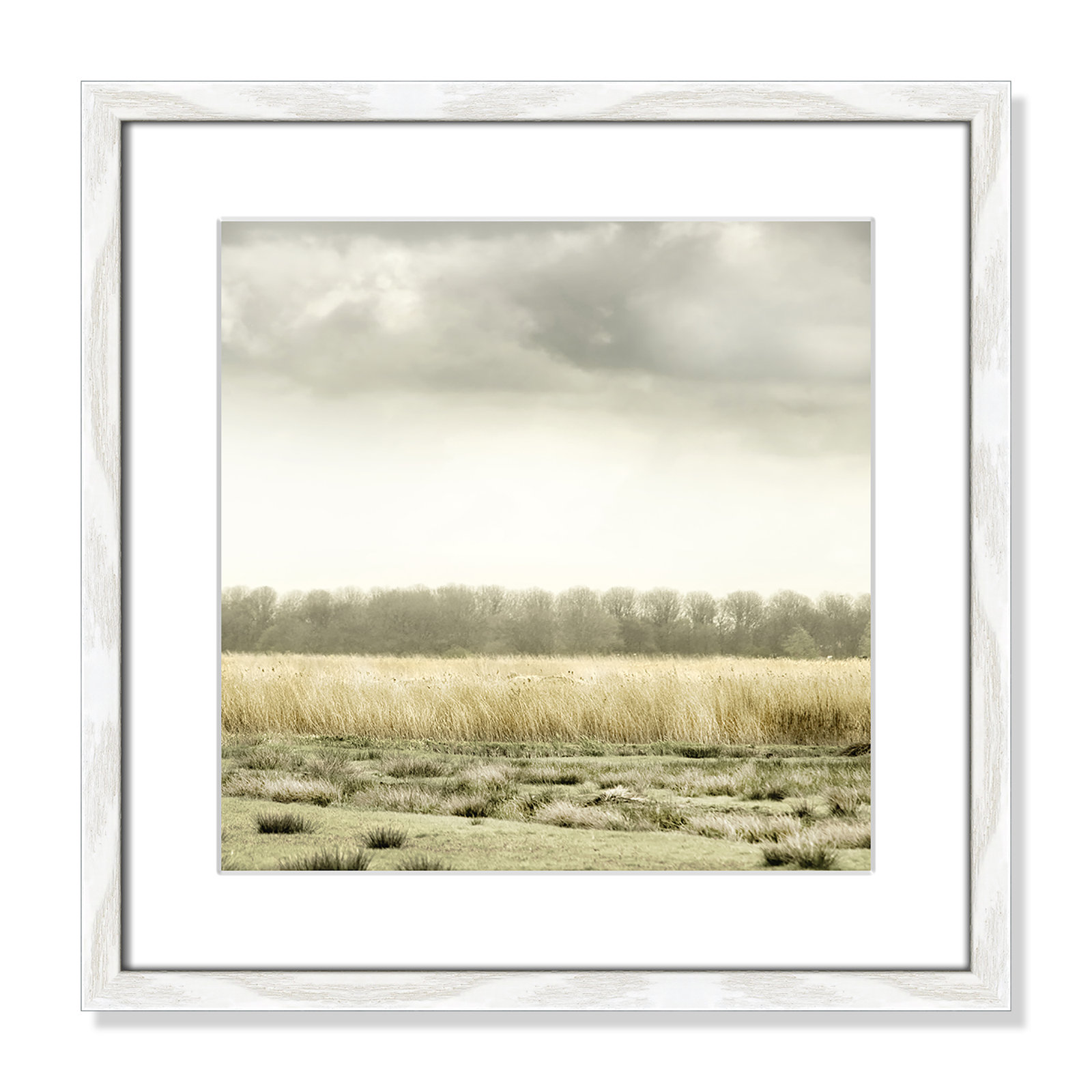 Henri "Meadowland" Print by Danita Delimont, White Wood Grain, 18" H x 18" W 