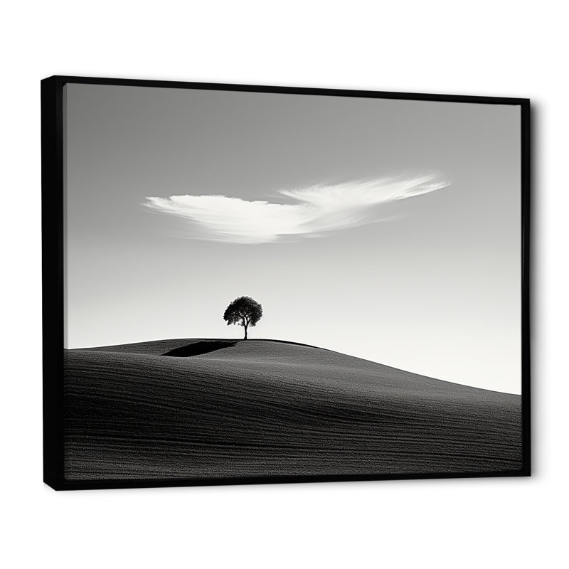 «Balck and White Solitude Tree III - Canyon and Desert», art mural sur toile, H 24 po x l 32 po x P 1 po, Cadre flottant noir