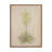 Desert Flora Triptych By Paul Meyer-1215770842