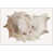 White Floater Framed is unavailable