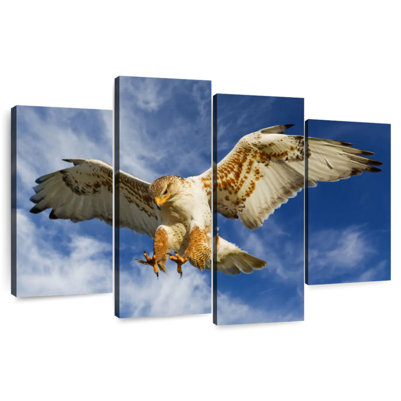 Brampt Hawk Attack, 22" H x 36" W