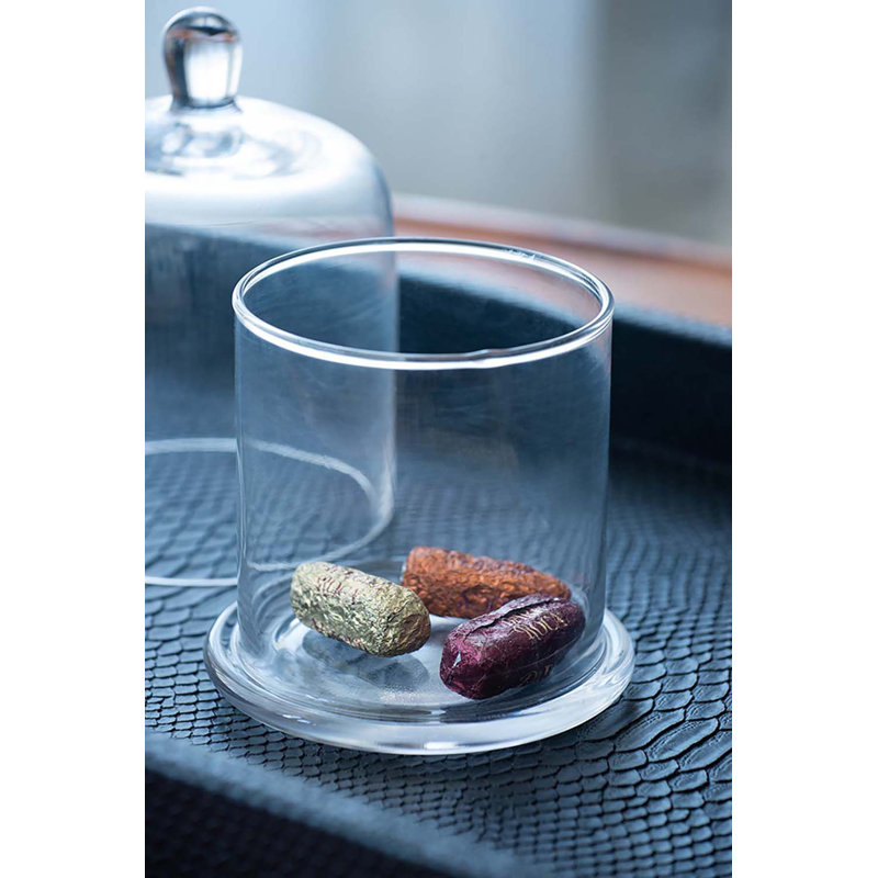 Urnes et pots en verre transparent de 6 po Edington, H 6 po x l 5 po x P 5 po