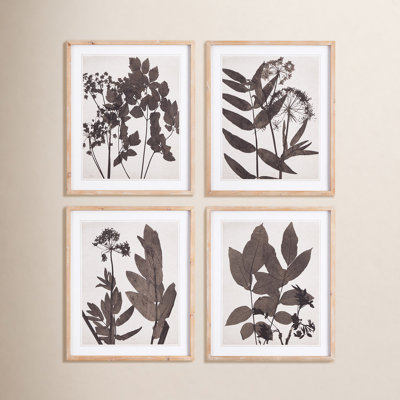 Pressed Foliage 4-Piece Print Set