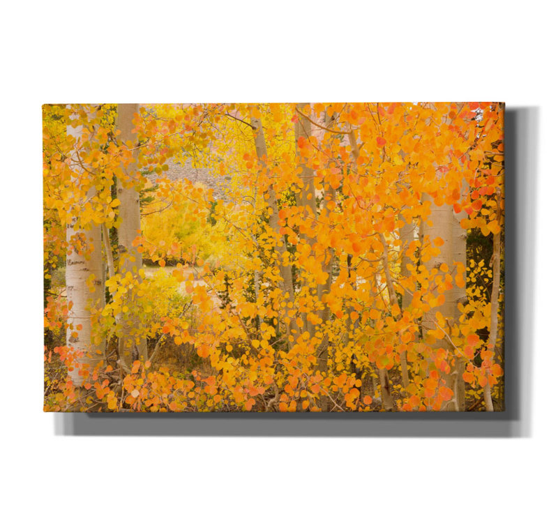 Toile épique Graffiti «North Lake Aspen» par Brandon Wong, 60 po x 40 po