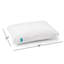 Oreiller standard Swan, 20 x 28, duvet synthétique, hypoallergénique et lavable
