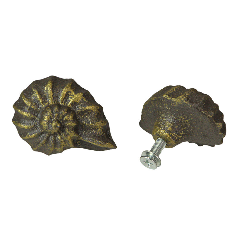 Multipack Nautilus Shell, Bronze