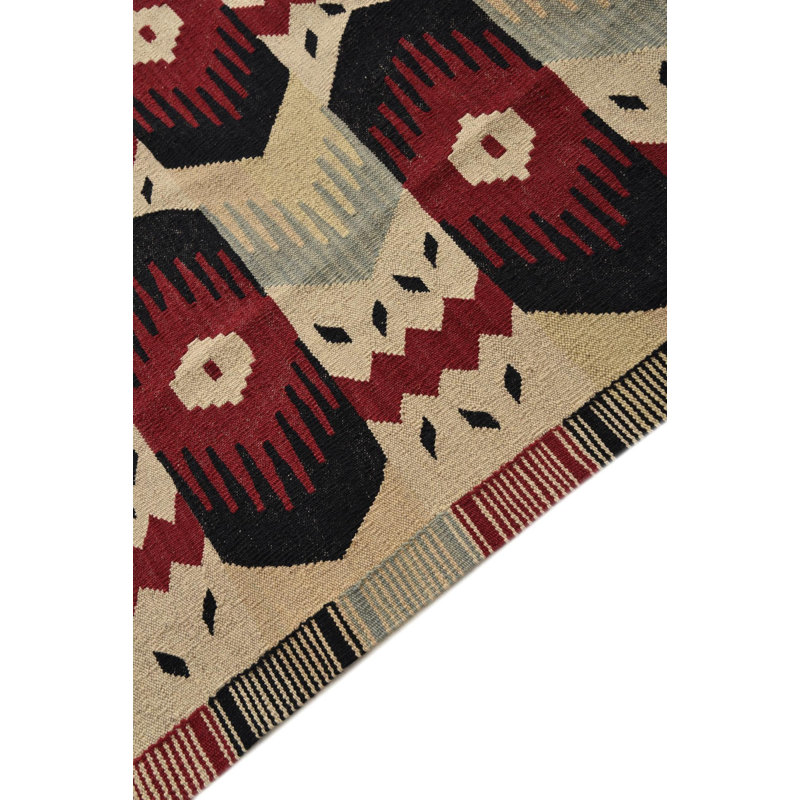 9x11 Petrella Multi Rug