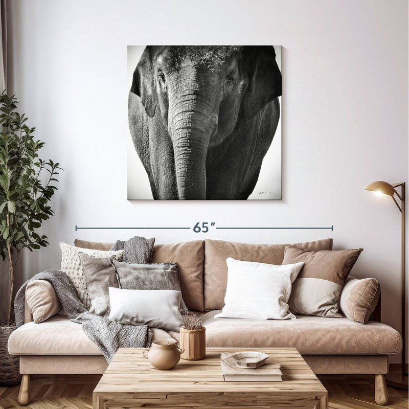 Brampt Elephant BW III, 39" H x 39" W