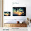 Gillard coucher de soleil silhouette de palmiers-108696643