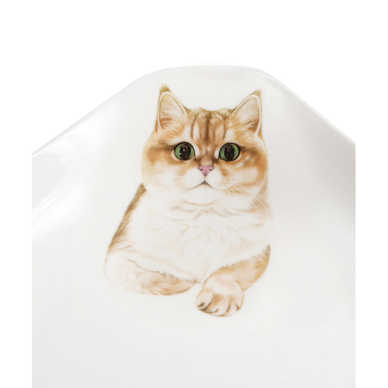 Assiette carrée en porcelaine - British Shorthair (doré)