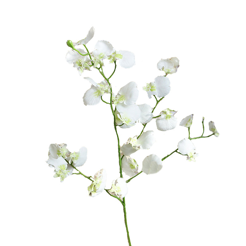 Orchid Arrangement, Milk White