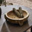 Montero Bowl-1759869227