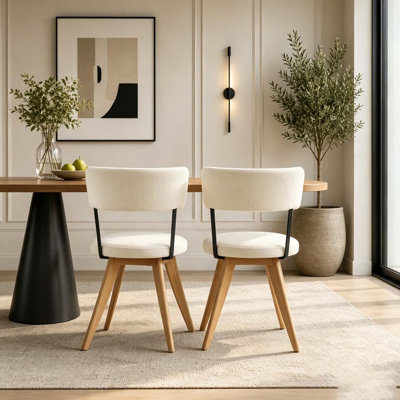 Modern Upholstered Dining Chairs