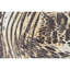 Animal Print Area Rug in White-75233223