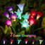 Piquet de jardin Sowaz