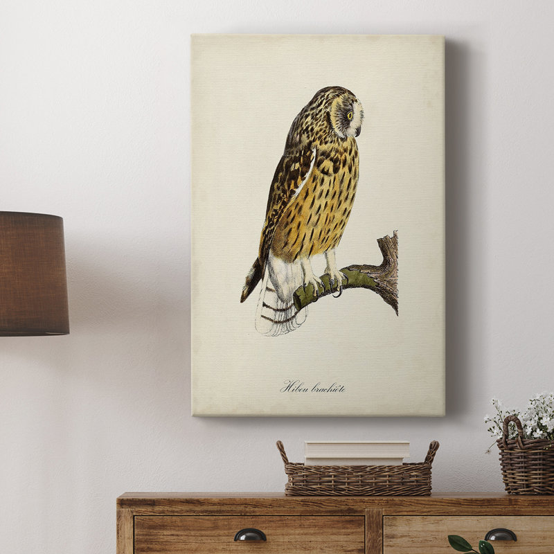 French Owls II - galerie sur mesure, H 36 po x l 24 po