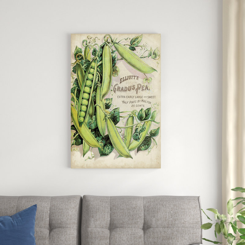 Panneaux de graines antiques V - Publicité sur toile tendue, H 36 po x l 24 po