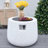Gretta 23.9" H X 30.8" W Propane Outdoor Fire Pit Table