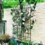 Paquet de 4 treillis de jardin en métal antirouille pour plantes grimpantes-112835493-112835494