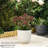 Coben Ivory Planter - Twin Pack
