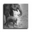 Latitude Run® «Mother and Daughter» par Debra Van Swearingen, art mural en métal-651259326
