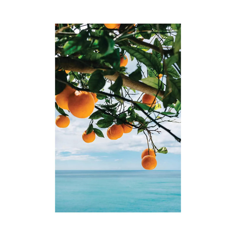 Amalfi Coast Oranges IV par Bethany Young - Estampe numérique sur toile tendue avec châssis, H 40 po x l 26 po x P 1,5 po