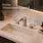 Waterfall 8 In. Widespread Double-Handle Bathroom Faucet