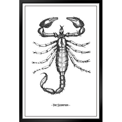 " The Scorpion "
