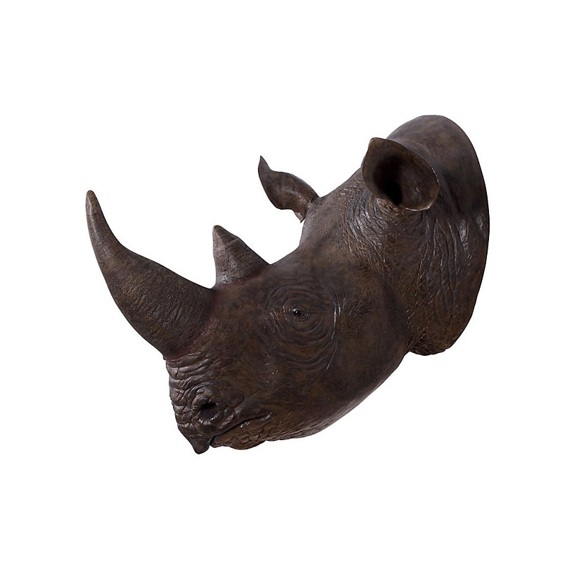 Tête de rhinocéros
