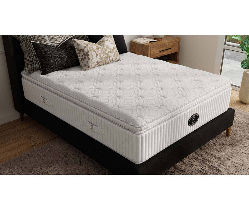 Timeless Snow Day Plush Pillow Top, Queen