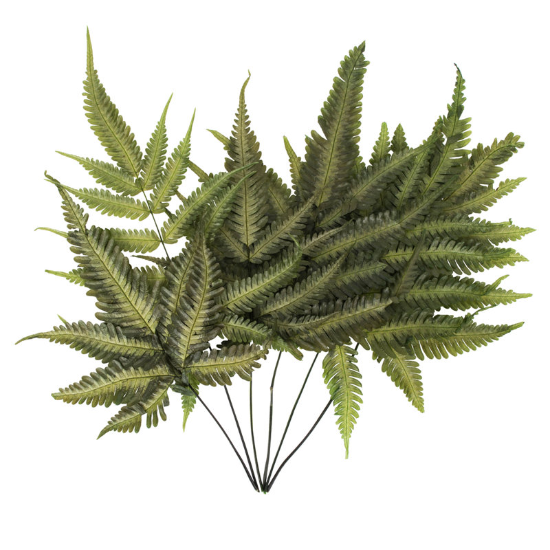 0,0625 plante