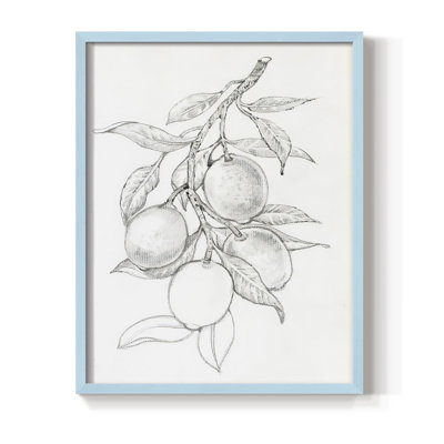 FruitBearing Branch I Framed Print - Solid Wood
