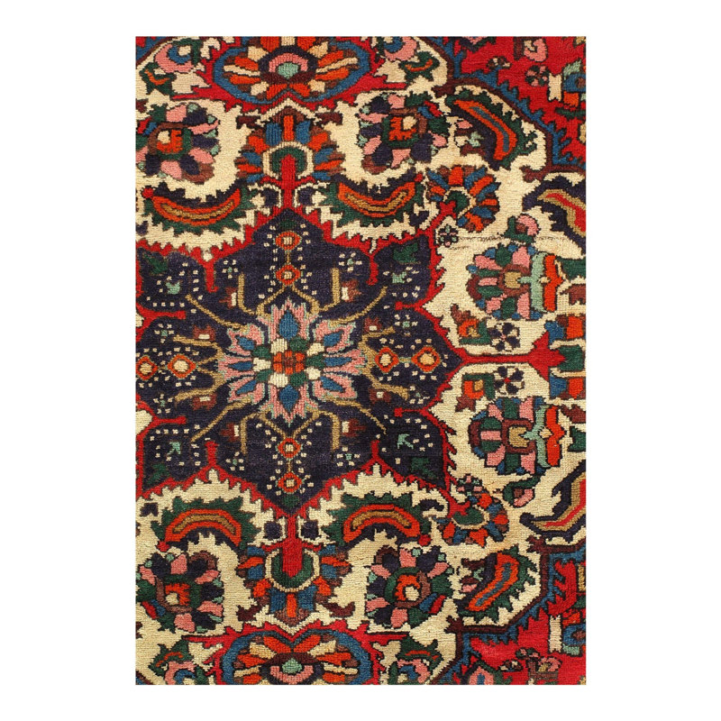 Oriental Area Rug in Red