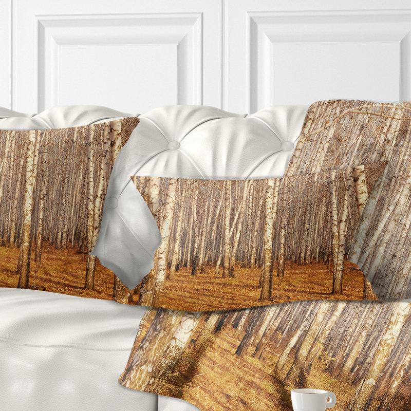 Coussin Dense Birch Forest in the Fall - Forest