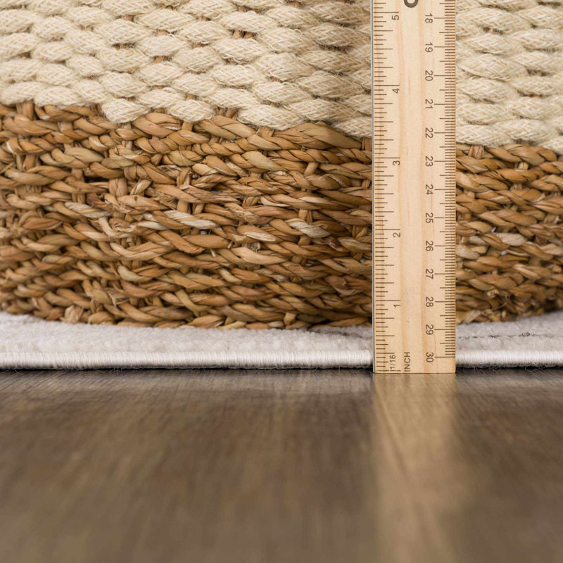 Jaschar Southwestern Beige/Black Area Rug, Rectangle 2' x 3'
