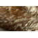 Abhinav Cowhide Animal Print Indoor Rug