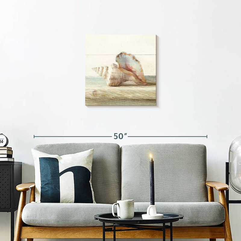 Aletra Driftwood Shell IV