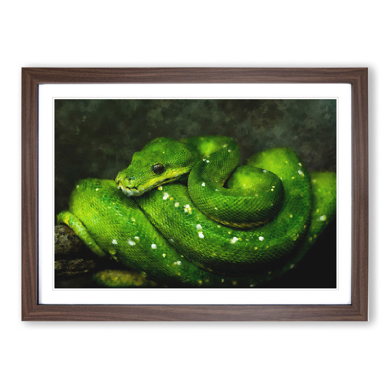 Green Python Snake - Framed Print, 36cm H x 48cm W x 2cm D, Walnut Framed