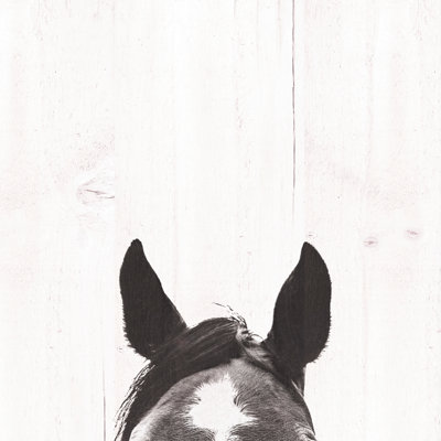 Horse Ears - Wrapped Canvas Print