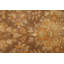 Tapis floral 8 x 10