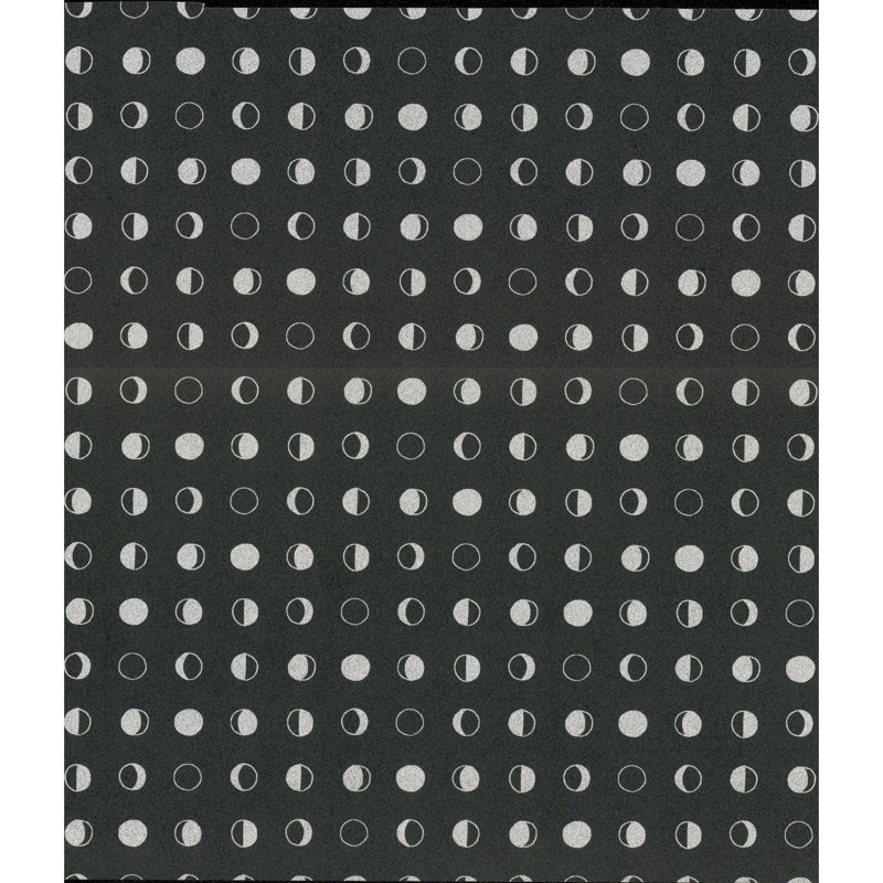 Rouleau de papier peint à pois L 32,8 pi x l 20,8 po Carrolltown, Noir / argent