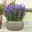 Concrete Effect Bowl Planter, Frostproof Outdoor Plant Pot, Garden Planter with Drainage Holes, Bonsai Pot, Shallow Planter with Mesh Pattern-1755648005-1755648006