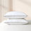 Oreillers de confort ValenciaLux