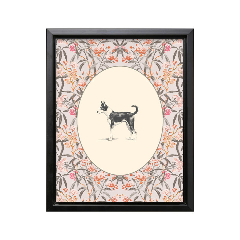 Portrait de Basenji, Cadre noir, Canevas, H 11 po x l 14 po