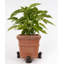 Tenley Weather Resistant Planter Feet