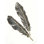 Plumes d'or III sur blanc noir