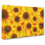 Wall of Yellow Sunflowers - Wrapped Canvas-56644268