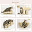 Cat Perch-102400451
